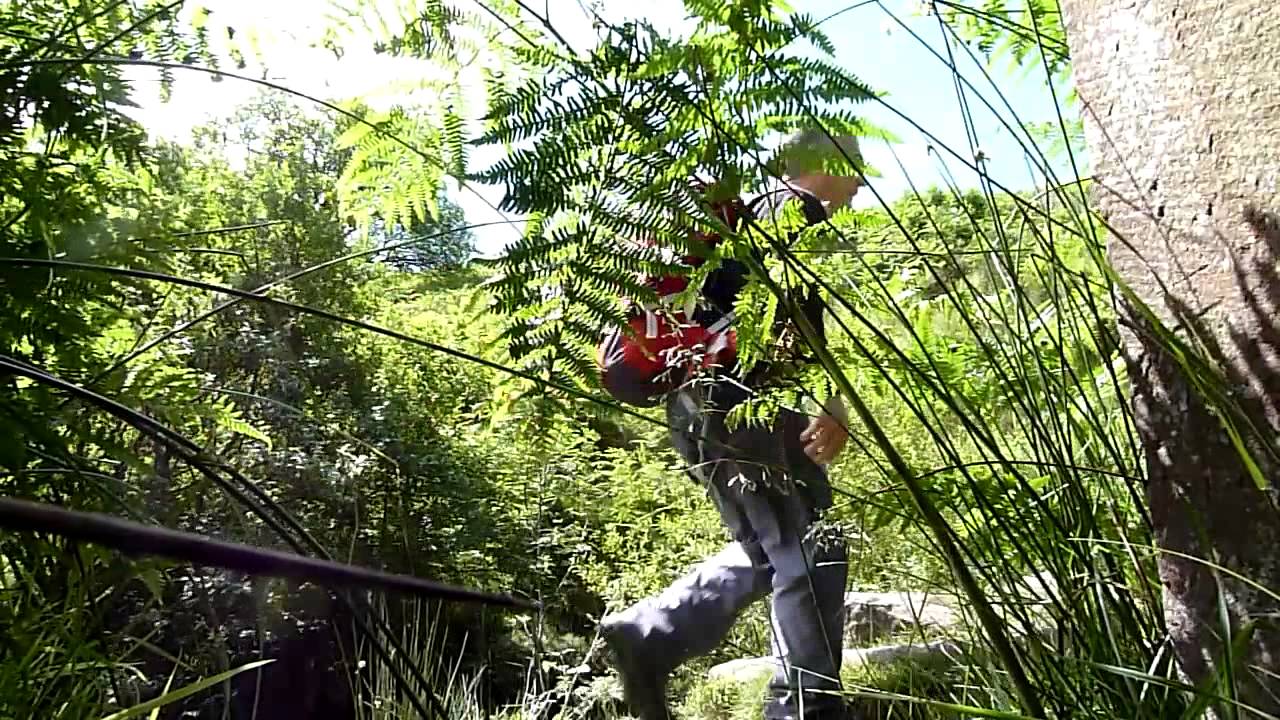 Ogden Reservoir - Haworth Hiking