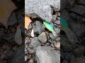 Lure hunting pylons during low water