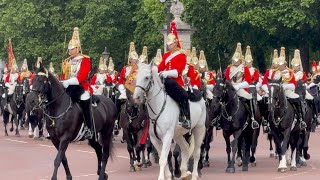 Majestic White Horse Lead the Troops at Guards Put A Magnificent Parade Major General's Review