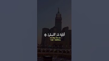 تلاوة هادئة تريح القلوب ♥️#راحة_نفسية #قرآن #قران_كريم #لايك #explore #اكسبلور