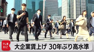 2023春闘　賃上げ30年ぶりの高水準　物価高騰背景に大幅引き上げ（2023年5月19日）