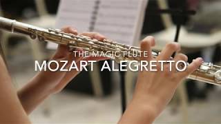 Mozart Alegretto - The Magic Flute / Моцарт Алегретто - Флейта