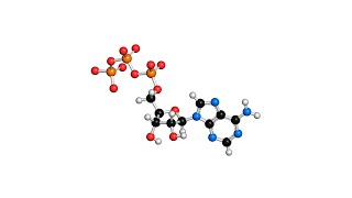 Functional Groups in Organic Chemistry: The 7 Most Common Explained!