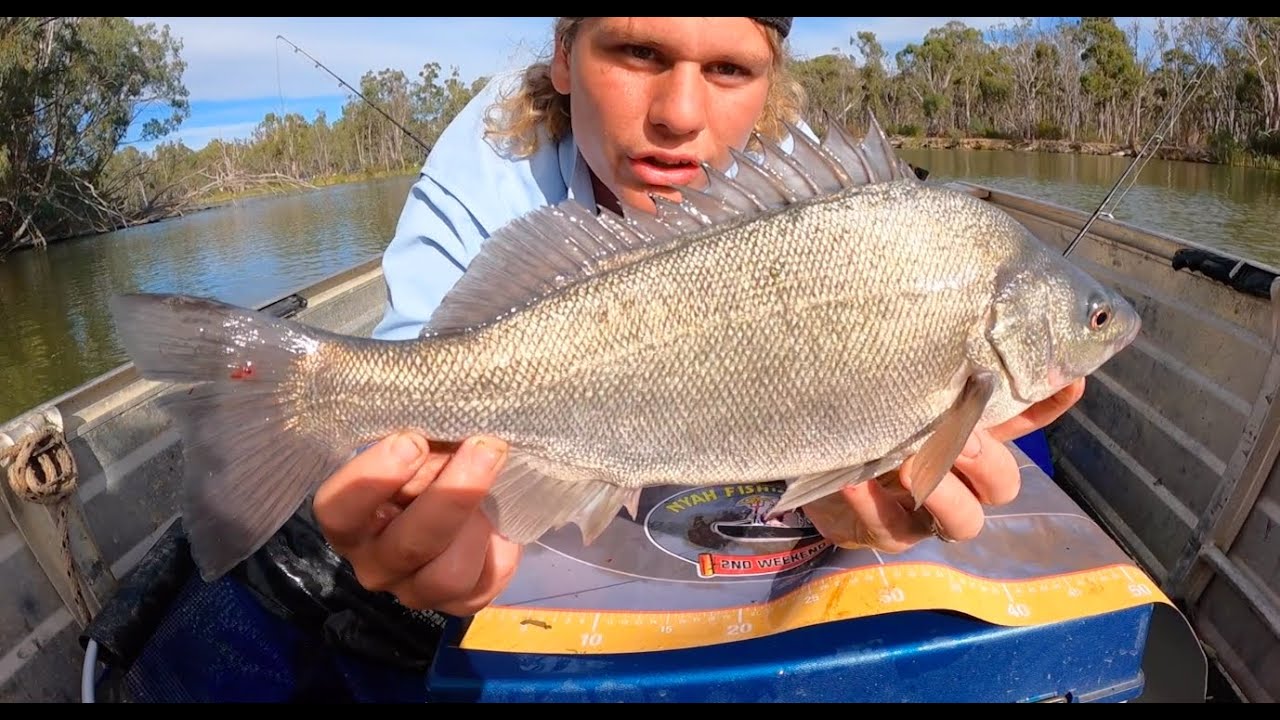 Torrumbarry Fishing Competition 2022 (WINNING PRIZE) YouTube