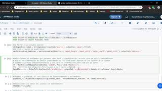 Iris RandomForest model with Spark in Watson Studio