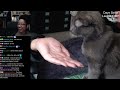Middle of video