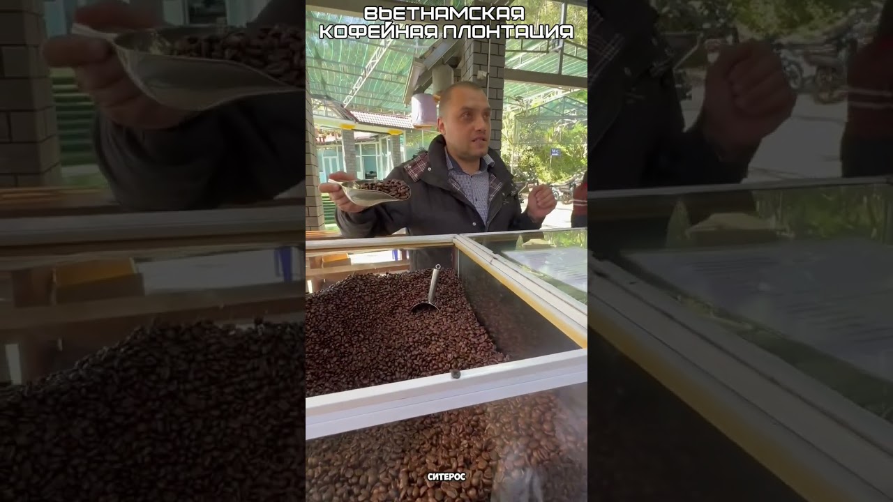 Вьетнам, кофейная плонтация Копи Лювак