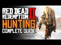 Red Dead Redemption 2 Complete Guide to Hunting: Perfect Pelts,, Legendary Animals & Secret Items!