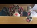 Useless Box \ machine "Schlafi" will nicht geweckt werden- don`t wake me, nicht fertige version