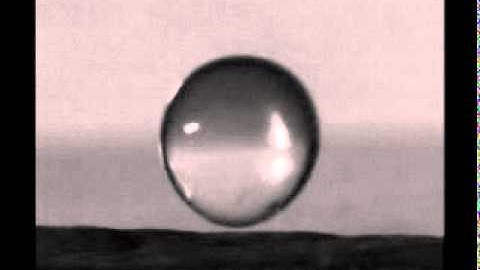 Doplet impact dynamics on a lotus leaf