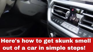 How To Get Skunk Smell Out of Car [In Simple Steps]