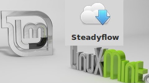 Steadyflow : A Simple Download Manager For Linux Mint /Ubuntu
