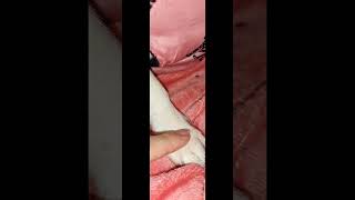 Basta Guardarli Per Capirlo