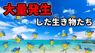 ウジャウジャと大量発生した生き物を捕獲する！！