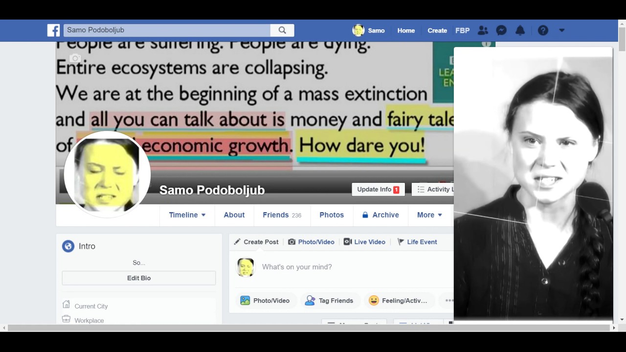 Greta -fied facebook for Climate Activism