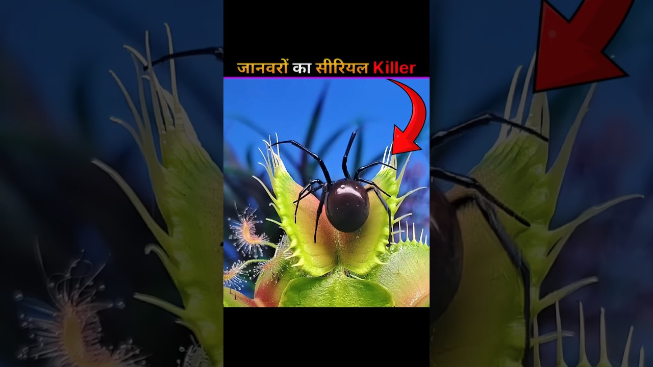 This Plant Become Serial Killer 