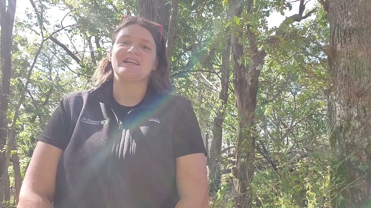 Minnesota Lottery: Celebrating $4 Billion Back to Beneficiaries