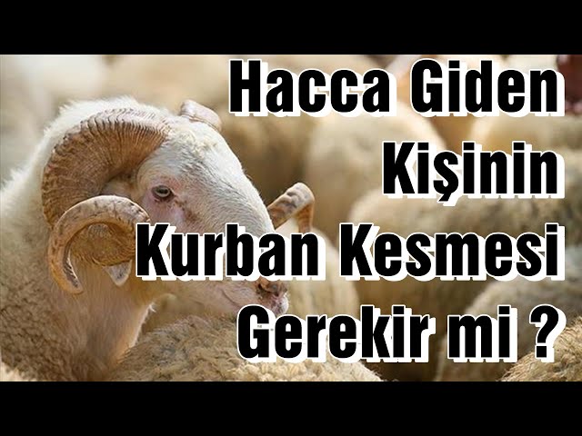 HACCA GİDEN KİŞİNİN MELEKETİNDE  KURBAN KESMESİ GEREKİR Mİ ? | Vaiz Ali ÖZDEMİR