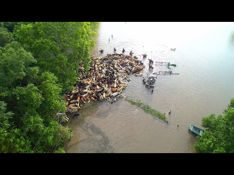 Brazoria County: A Community In Crisis