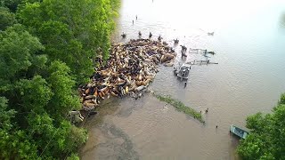 Evacuations Continue in Brazoria County: Holiday Lakes neighborhood