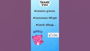 Learn to say THANK YOU in world