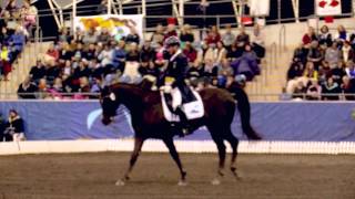Sydney CDI 2014 - Heath Ryan and Utopian Cardinal 4th in the Grand Prix Freestyle CDI 3*