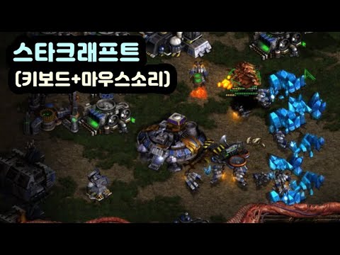 【ASMR】 스타크래프트 밀리 게임 | 키보드&마우스 소리 | 이끼68 TECSEE 아이스민트 키보드소리 | 스타크래프트 밀리 플레이영상