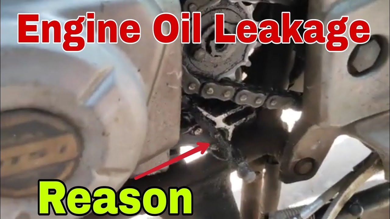 Engine Oil Leakage Bike Engine Oil Leakage Problem Pulsar 180 dtsi