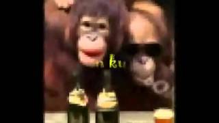 Download lagu pemujamu lagu yg kupersembahkan buat kamu Luphie sayang pemujamu lagu yg kupersembahkan buat kamu Luphie sayang
