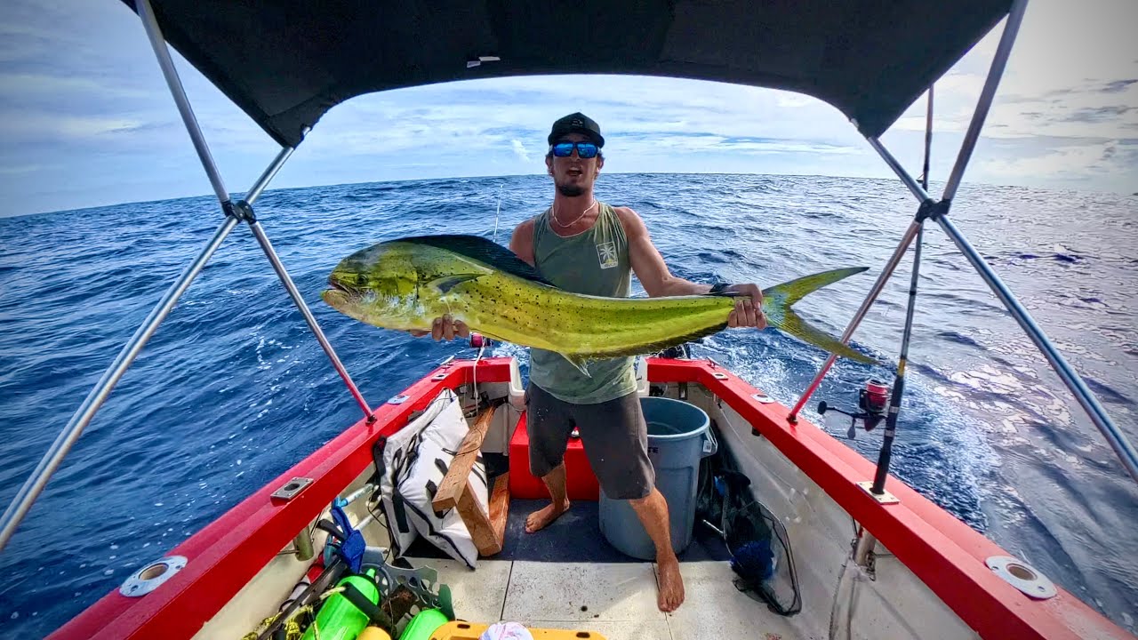 Live Bait Fishing for Mahi Mahi Dinner Hawaii! Catch, Clean, and Cook!