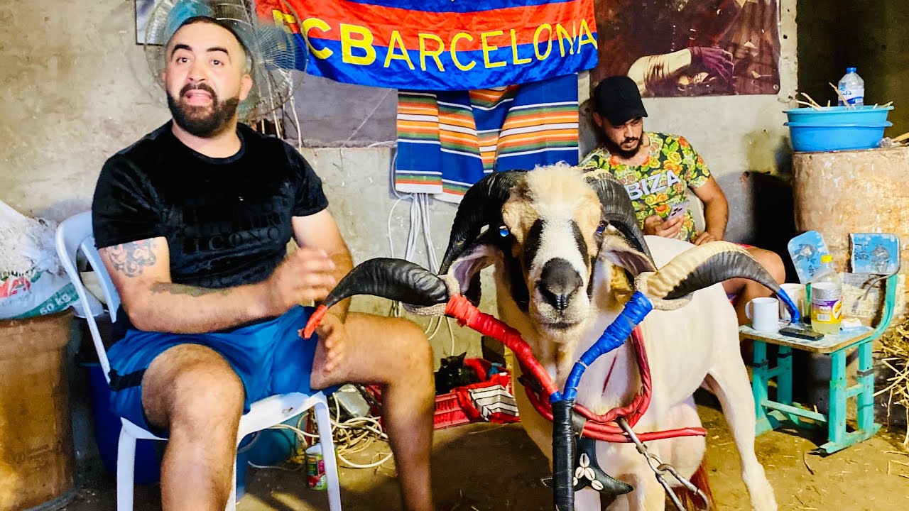 من اقوي المخازن في تونس 🇹🇳 هنا احتكار الرادسة 🧿