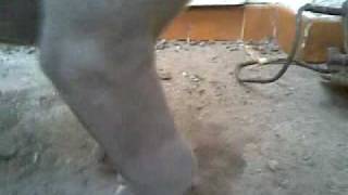 02022010(003).mp4