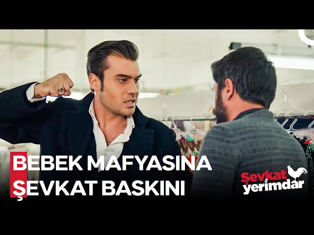 Berkova porno va romantik Yigit eshagini qirdiradi