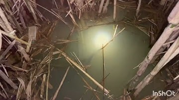 Một đêm đi cắm câu cá trê và cái kết fishing 