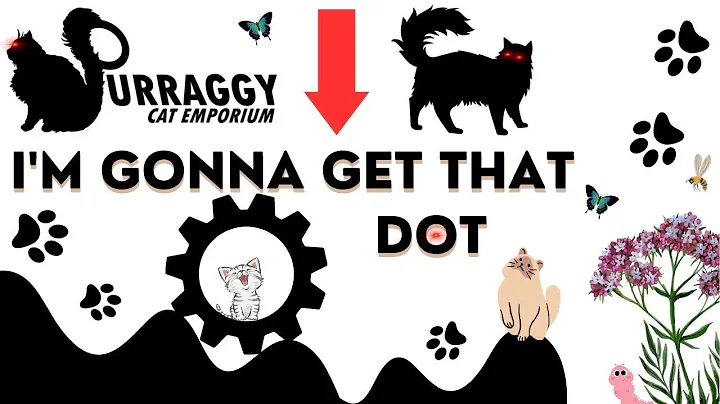 Video 1915531: cat training, cat playing chase