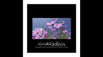 {وَمَن يَتَّقِ اللَّهَ يَجْعَل لَّهُ مَخْرَجًا} #سورة_الطلاق #ماهر_المعيقلي  #حالات_واتس