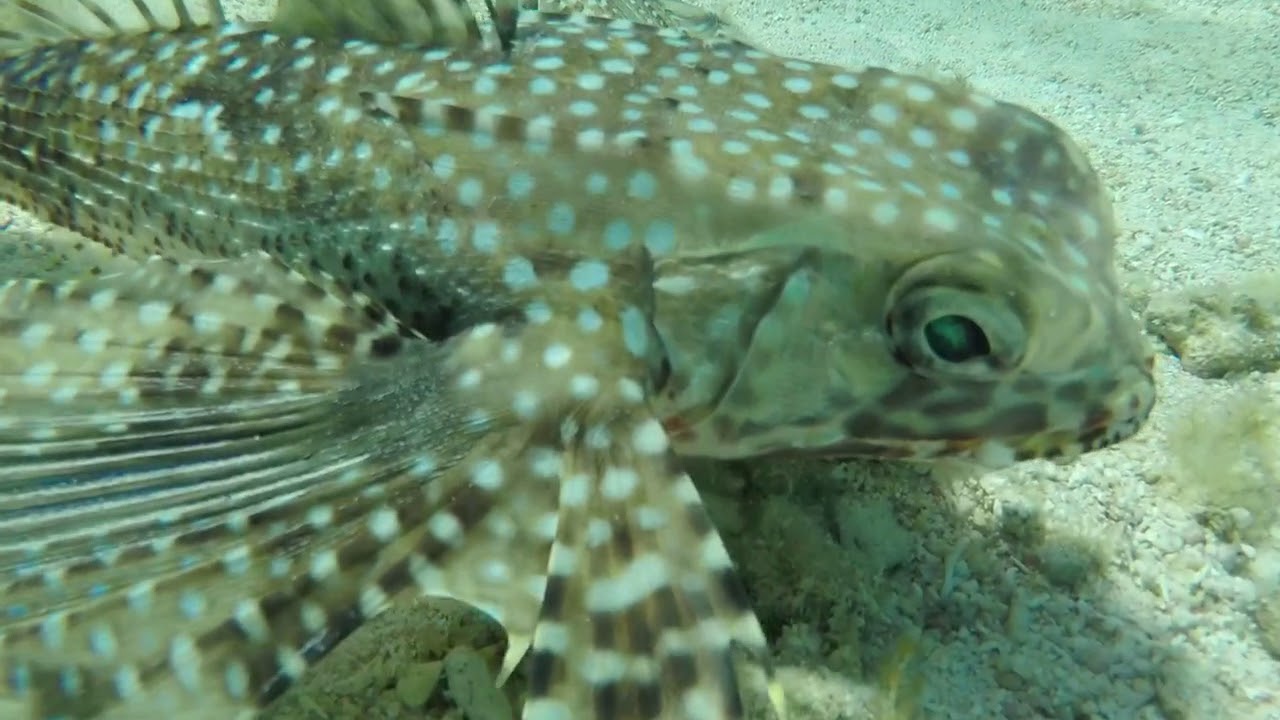 2F52DCB9 B85C 4814 A678 DF8F513A4D57