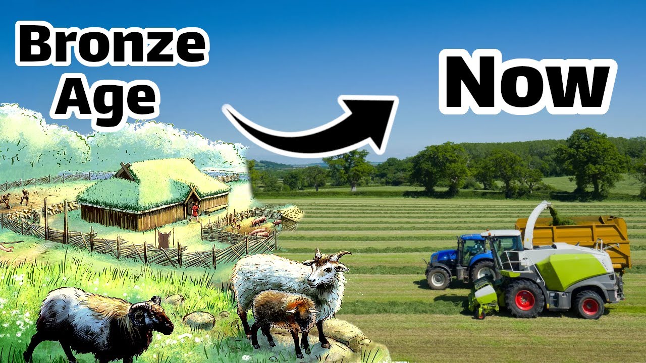 Полная история одной конкретной области