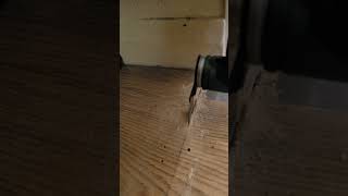 laminate floor cutting with bosh Multitool laminate floor cutting with bosh Multitool