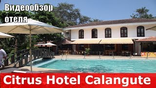 Citrus Hotel Calangute - отель 4* (Индия, Северный Гоа, Калангут). Обзор отеля.