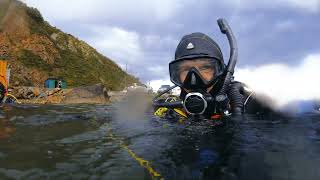 видео: дайвинг. Владивосток. маяк Токаревского 04.06.23 картинка: дайвинг. Владивосток. маяк Токаревского 04.06.23