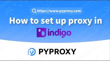 PYPROXY|How to set up proxy in INDIGO?Market-Leading Proxy Solution#proxy