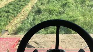 WR9980 Stealth Windrower in Single-Cut Teff