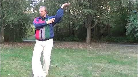 Ba Gua Lian Huan Zhang