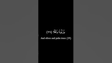 كرومات سوداء _ عمرو بن علي الترباني _ سورة عبس #قرآن #تلاوة_خاشعة #فيه_شفاء_للناس
