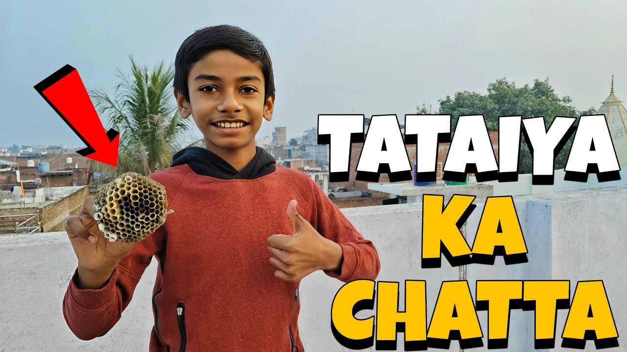 Tataiya Ka Chatta 😁 | Yashraj Vlogs 