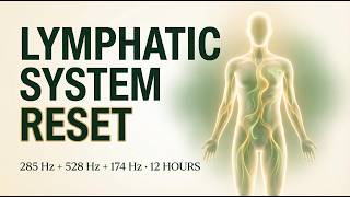 12 Hours of Deep Lymphatic Drainage | 528 Hz Cellular Stimulation Frequencies