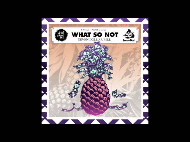 WHAT SO NOT - LOVE THEME