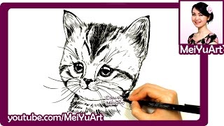 How I Draw A Cat - Drawing A Realistic Cute Kitten With Pencil Ink - Fine Art By Mei Yu - Meiyuart