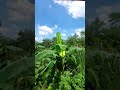 এমন দেশটি কোথাও খুজে পাবে না